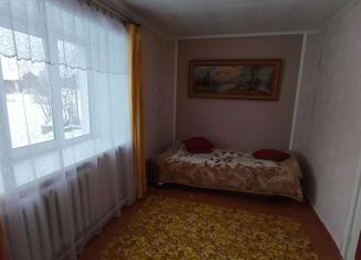3-комнатная квартира на продажу, 53.3 м2, село Нижнетроицкий, улица Гагарина, 3