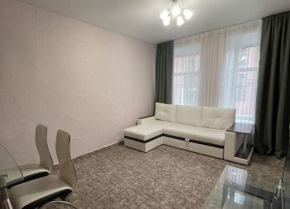 Аренда 2-комнатной квартиры, 36 м2, Санкт-Петербург, Железноводская улица, 10, метро Приморская