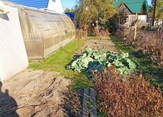 Продаю дачу, 36 м2, СНТ Печать