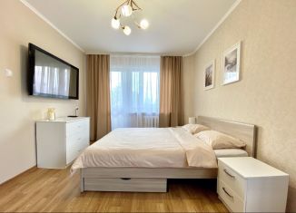 Аренда 1-комнатной квартиры, 36 м2, Псковская область, Рижский проспект, 48А