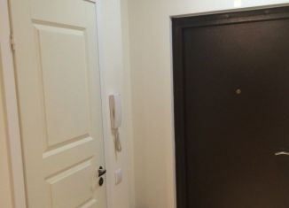 Сдам квартиру студию, 30 м2, Мурино, Привокзальная площадь, 3к1, ЖК Эланд