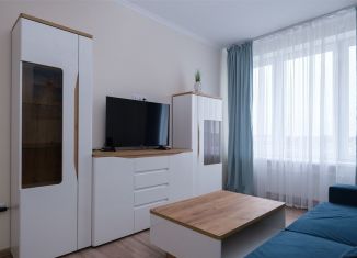 2-комнатная квартира в аренду, 59 м2, посёлок городского типа Янтарный, Советская улица, 104Б