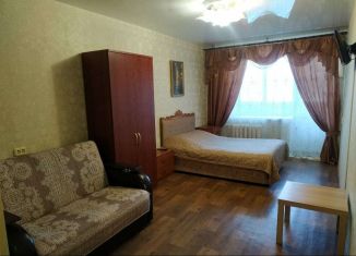 Аренда 1-комнатной квартиры, 33 м2, Владимирская область, улица Усти-на-Лабе, 4