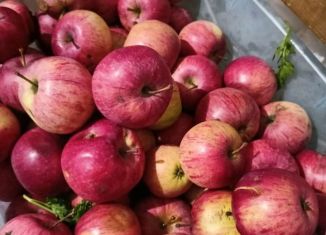 Продаю дом, 57.5 м2, село Моховица