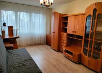 Двухкомнатная квартира в аренду, 48 м2, Санкт-Петербург, проспект Ветеранов, 20, муниципальный округ Княжево