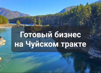 Продается торговая площадь, 157 м2, Республика Алтай, Р-256 Чуйский тракт, 488-й километр