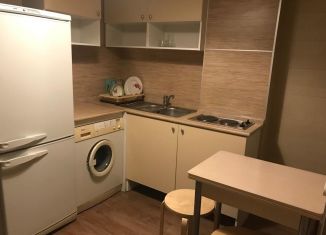 Квартира в аренду студия, 25 м2, Санкт-Петербург, улица Орджоникидзе, 52