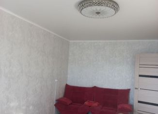 Продается 2-комнатная квартира, 47 м2, село Мильково, улица Чубарова