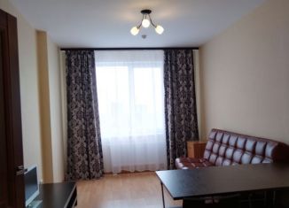 1-комнатная квартира в аренду, 42 м2, деревня Анкудиновка, Черкесская улица, 3