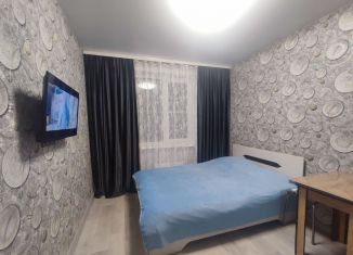 Квартира в аренду студия, 18 м2, Кемеровская область, проспект Шахтёров, 7
