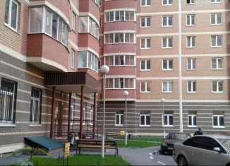 Однокомнатная квартира в аренду, 25.4 м2, рабочий посёлок Андреевка, Староандреевская улица, 43к2