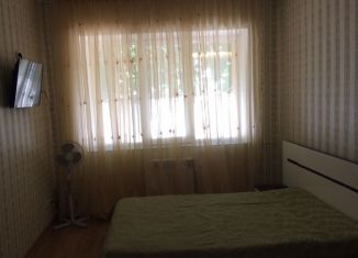 1-комнатная квартира в аренду, 30 м2, село Витязево, улица Лизы Чайкиной, 20А