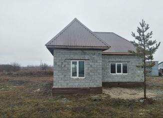 Продам дом, 80 м2, село Ошкуково, Новая улица, 26