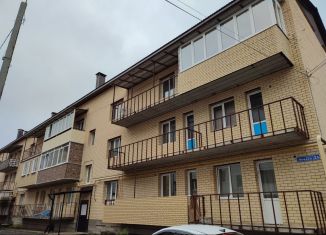 Продается однокомнатная квартира, 39 м2, село Сновицы, Речная улица, 2А