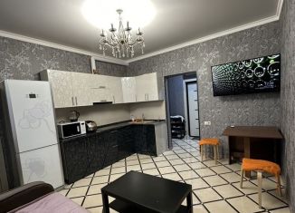 Двухкомнатная квартира в аренду, 50 м2, село Нижняя Шиловка, Светогорская улица, 42Б