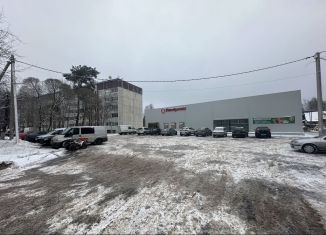 Аренда торговой площади, 20 м2, городской посёлок Толмачёво, улица Толмачёва, 24