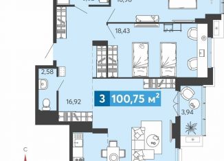 Продажа трехкомнатной квартиры, 100.8 м2, Пензенская область, Прибрежный бульвар, 1с6