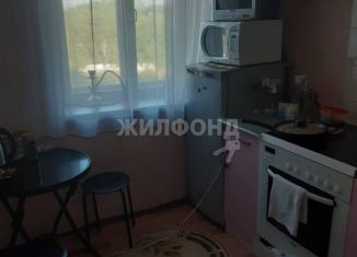 Продажа однокомнатной квартиры, 20.8 м2, Новосибирская область, Боровая улица, 96