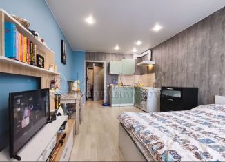 Продажа квартиры студии, 25 м2, посёлок Шушары, ЖК Добрыня, территория Ленсоветовский, 23