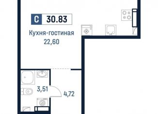 Продается квартира студия, 30.8 м2, Ленинградская область