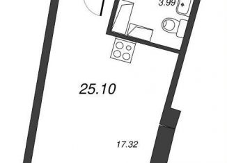 Квартира на продажу студия, 27.9 м2, Ленинградская область