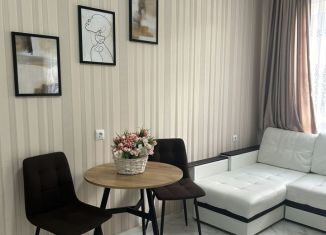 Квартира в аренду студия, 27 м2, Сочи, Фермерский переулок, 2/1, микрорайон Энергетик-Изумруд