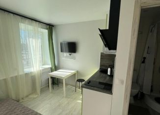 Продается квартира студия, 20 м2, Москва, Чертановская улица, 21к1, ЮАО