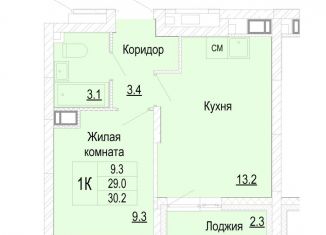 Продам 1-комнатную квартиру, 30.2 м2, Нижегородская область