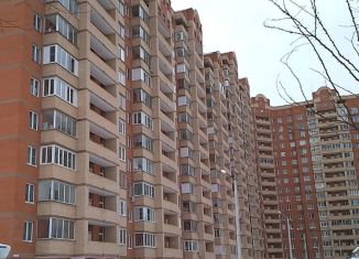 Продажа однокомнатной квартиры, 44.5 м2, дачный посёлок Красково, улица Лорха, 13