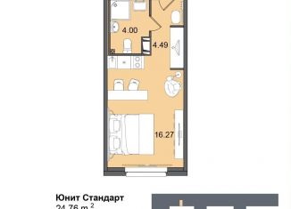 Продается квартира студия, 24.8 м2, Санкт-Петербург, метро Звёздная, Витебский проспект, 99к1