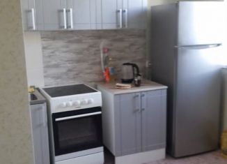 Квартира в аренду студия, 27.5 м2, Алтайский край, улица Декабристов, 20