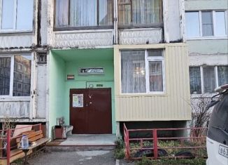 Двухкомнатная квартира на продажу, 47 м2, Петропавловск-Камчатский, улица Виталия Кручины