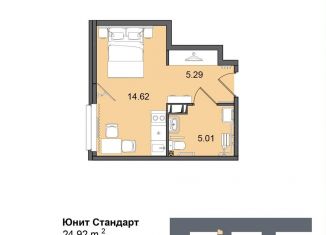 Продаю квартиру студию, 24.9 м2, Санкт-Петербург, Московский район, Витебский проспект, 99к1