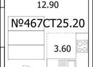 Продажа квартиры студии, 25.2 м2, Люберцы, Солнечная улица, 6