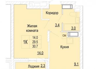 1-комнатная квартира на продажу, 30.7 м2, Нижегородская область