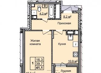 Продажа однокомнатной квартиры, 41.1 м2, Нижегородская область