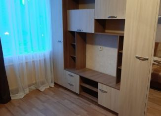 Сдам в аренду 1-комнатную квартиру, 30 м2, Санкт-Петербург, проспект Художников, 27к1, Выборгский район