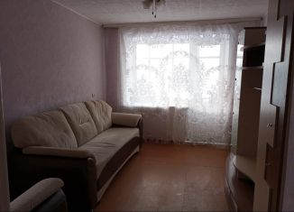 2-ком. квартира в аренду, 43 м2, Чернушка, Красноармейская улица, 102А