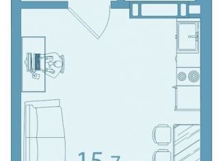 Продажа однокомнатной квартиры, 24.5 м2, поселок Зональная Станция, улица Леонова, 1