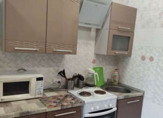 Аренда квартиры студии, 32 м2, Новосибирск, Плановая улица, Плановая улица