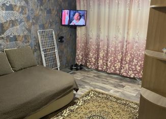 2-ком. квартира в аренду, 35 м2, Томск, Ленская улица