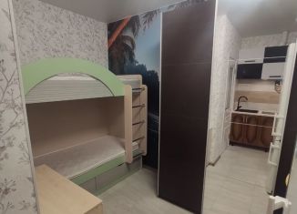 Сдам квартиру студию, 25 м2, Москва, улица Вертолётчиков, 21к3, ЮВАО