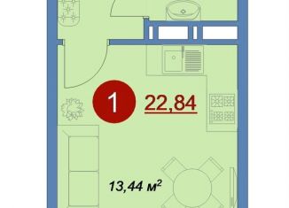 Продажа квартиры студии, 22.8 м2, деревня Островцы, улица Лётчика Волчкова, 3