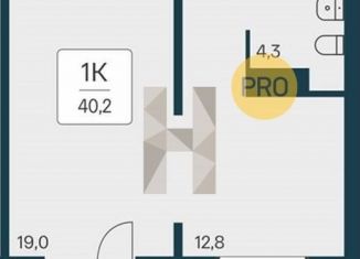 Продаю 1-комнатную квартиру, 40.2 м2, Новосибирск, Игарская улица, 6