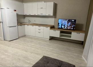 Сдается квартира студия, 36 м2, Татарстан, улица Шамиля Усманова, 18Е