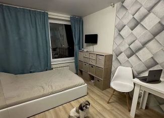 Сдаю в аренду квартиру студию, 20 м2, Москва, Ярославское шоссе, 116к2