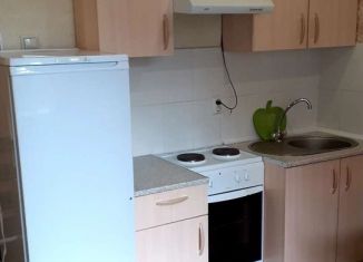 Квартира в аренду студия, 18 м2, Иркутская область, улица Багратиона, 15