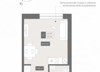 Квартира на продажу студия, 21.3 м2, Санкт-Петербург, Коломяжский проспект, 4, метро Пионерская