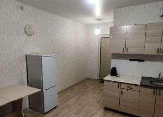 Сдается квартира студия, 22 м2, Новосибирск, улица Титова, 257, метро Площадь Маркса