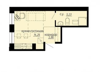 Продам квартиру студию, 22.4 м2, Санкт-Петербург, муниципальный округ Светлановское